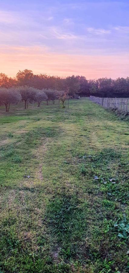 Bed and Breakfast Les Bonbonnettes Le Cailar Esterno foto